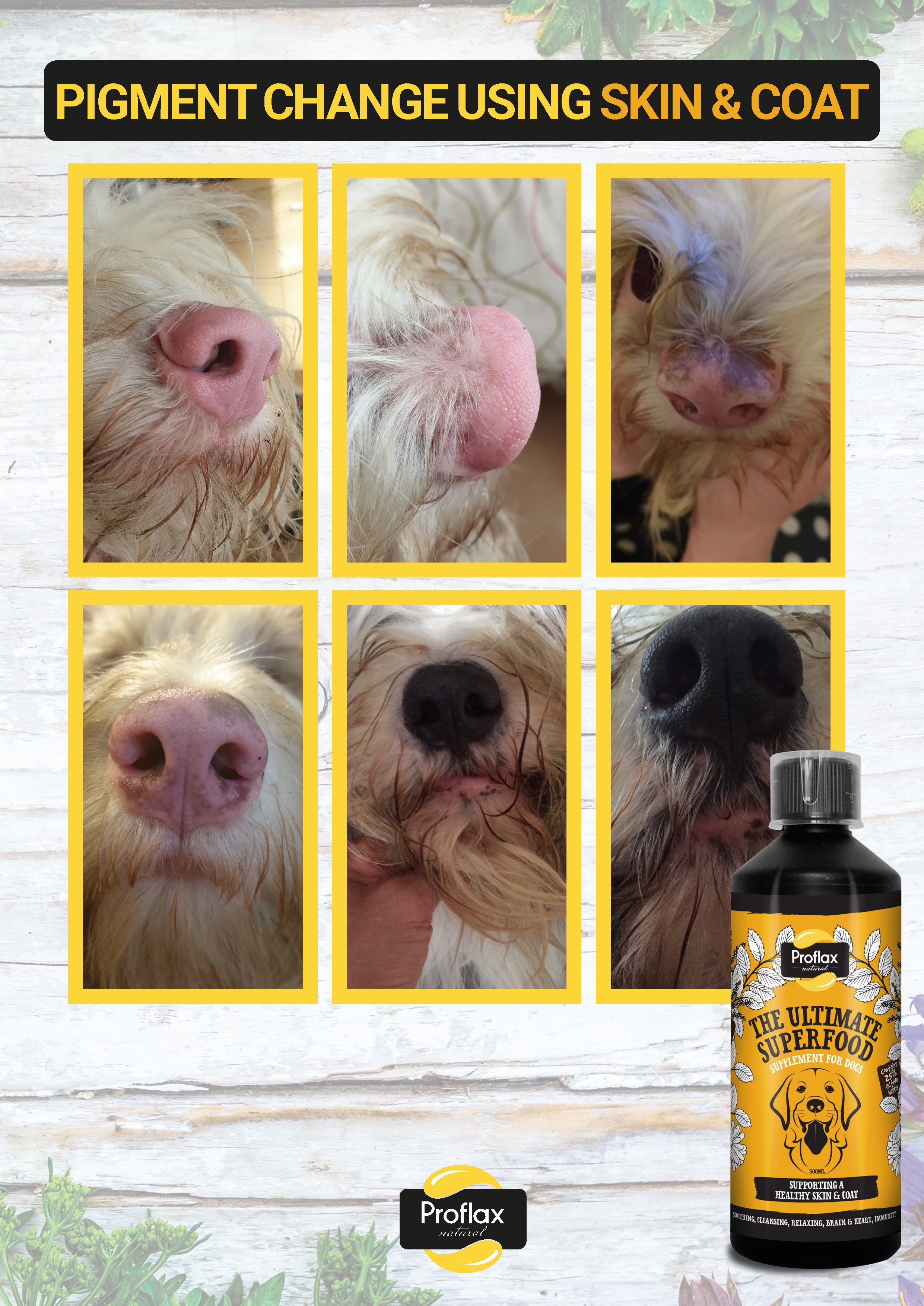 Dog pigment supplement sale