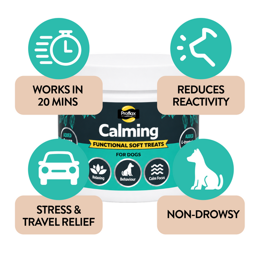Soft Chews for Functional Support - Calming