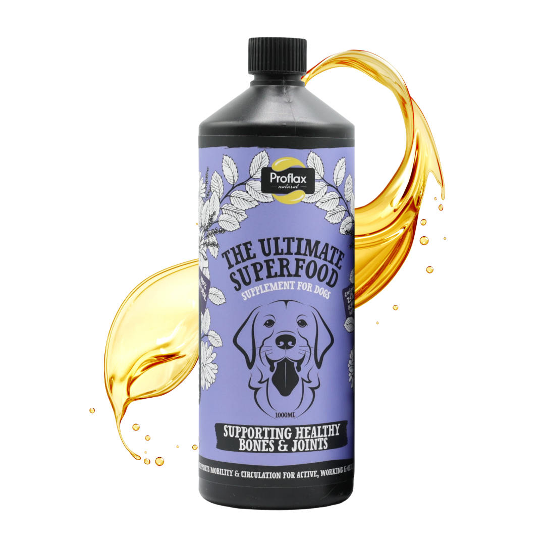 Bone, Joint & Mobility Support for Dogs