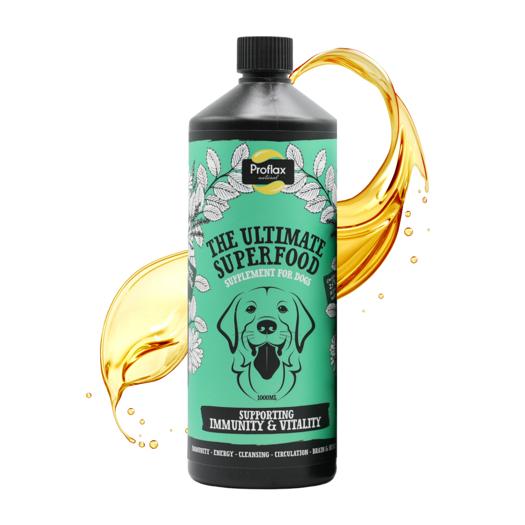 Immune & Energy Support for Dogs
