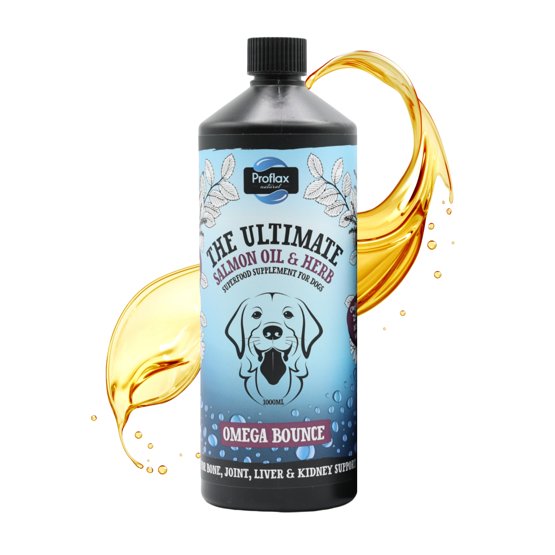 Salmon Oil for Joint & Mobility Support - Omega Bounce