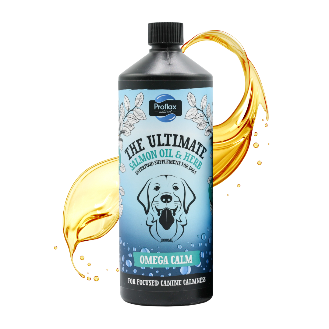 Calming Salmon Oil for Highly Anxious Dogs - Omega Calm - Proflax