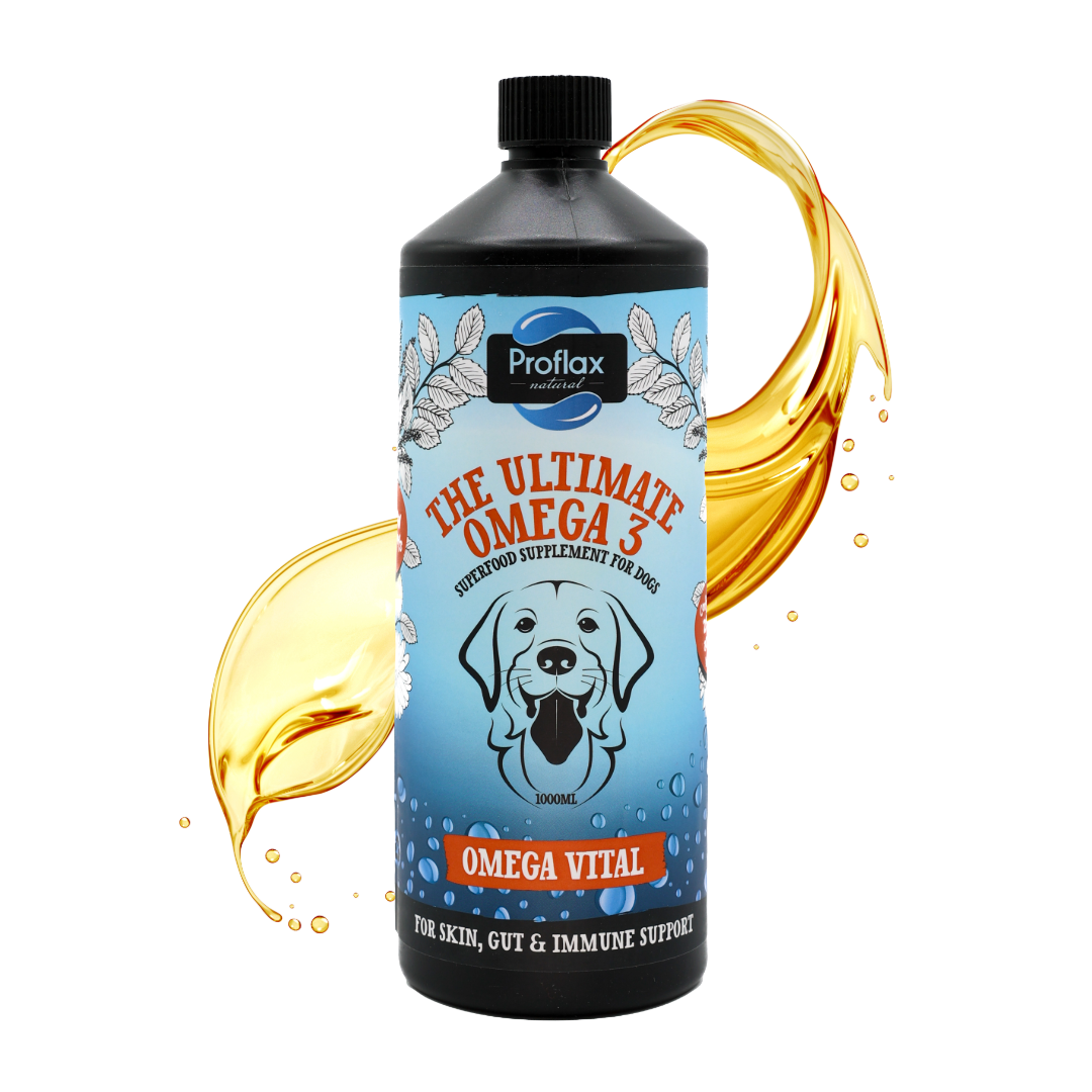 Salmon Oil for Skin & Gut Health - Omega Vital