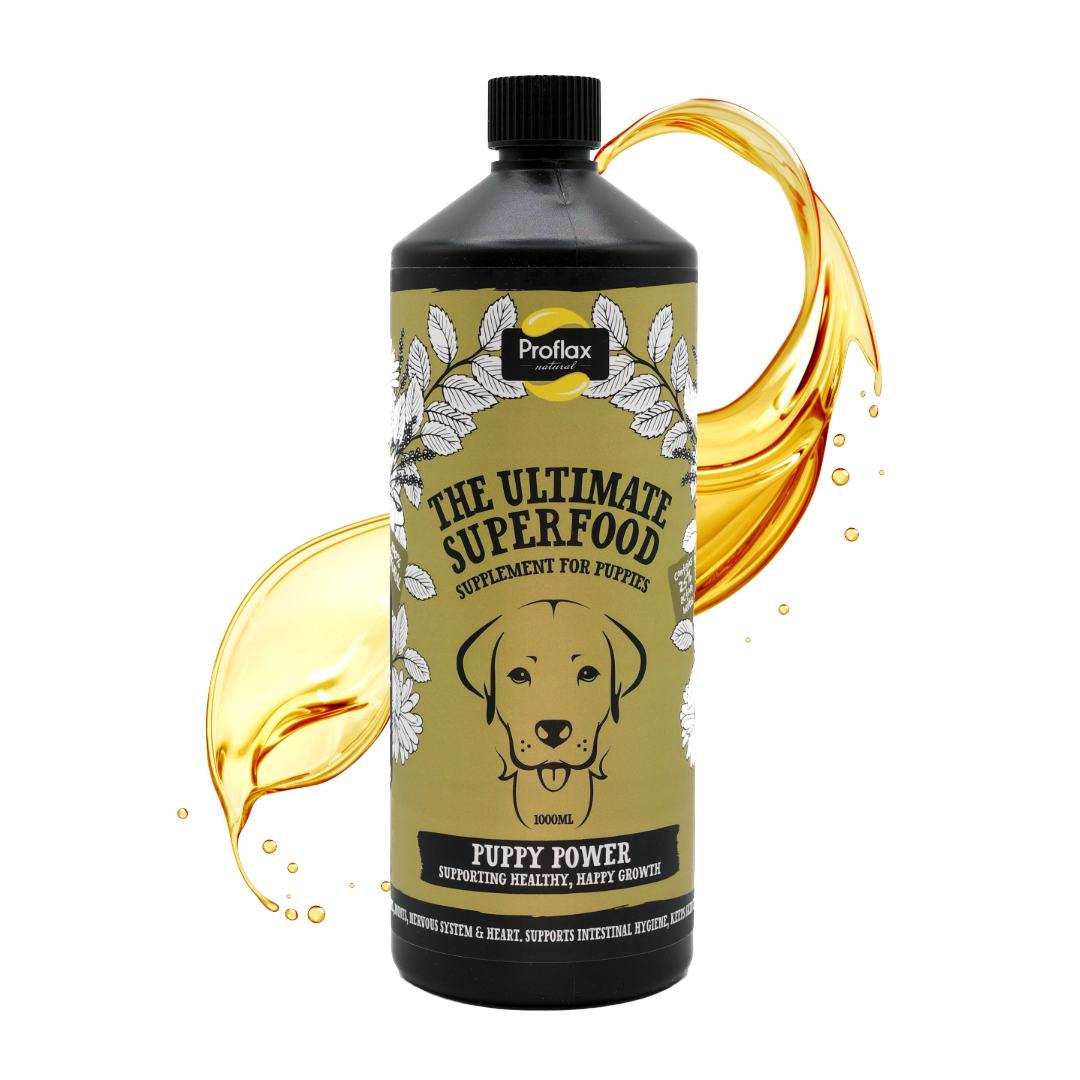 Puppy Digestion & Growth Support - Puppy Power
