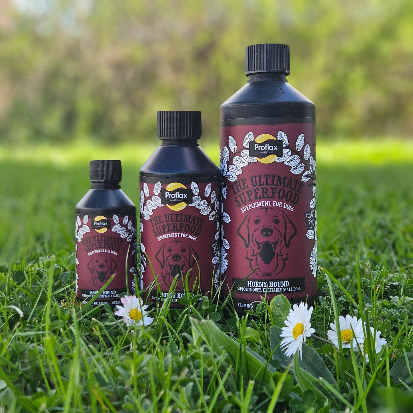 Hormone Balance for Male Dogs - Horny Hound