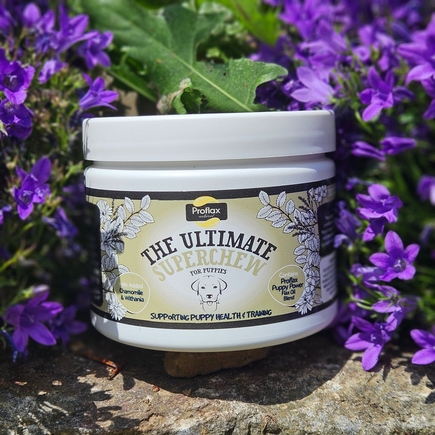 Soft Chews for Functional Support - Puppy