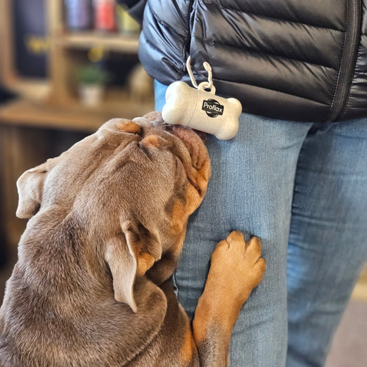 Wheatgrass Poo Bag Holder