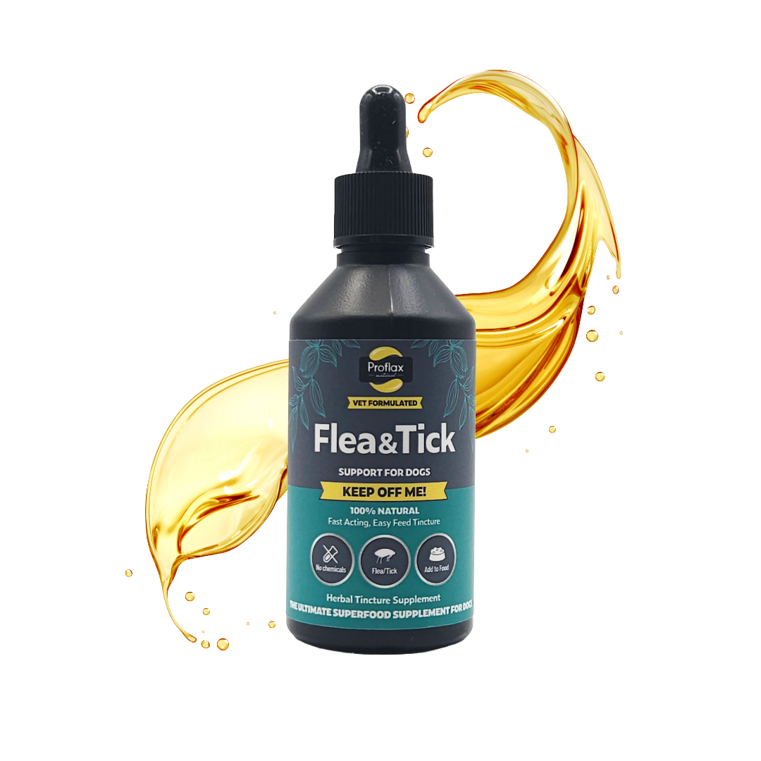 Natural Flea & Tick Defence for Dogs - Keep Off Me! Tincture - Proflax
