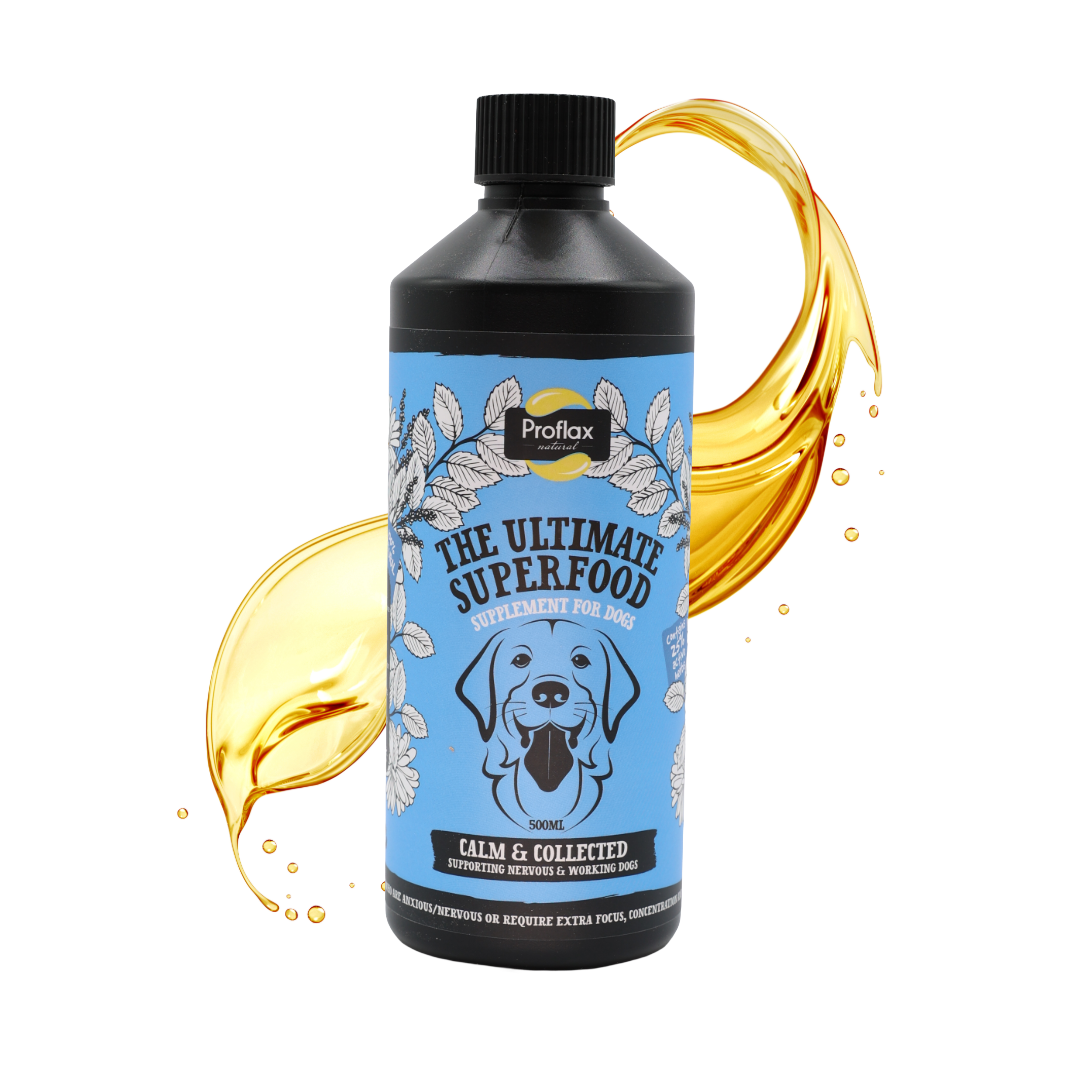 Calming Support for Mild Anxiety - Calm & Collected - Proflax