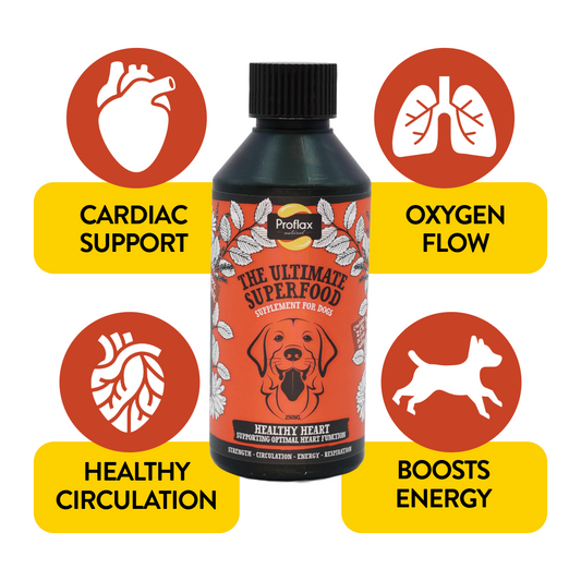 Heart & Circulation Support for Dogs - Healthy Heart