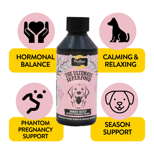 Hormonal Relief for Female Dogs - Moody Bitch