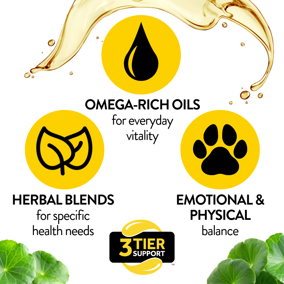 Soft Chews for Functional Support - Senior - Proflax