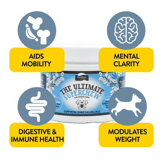 Soft Chews for Functional Support - Senior