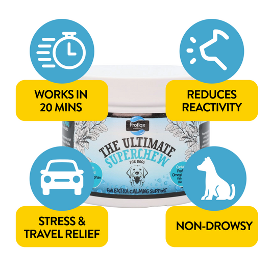 Soft Chews for Functional Support - Calming