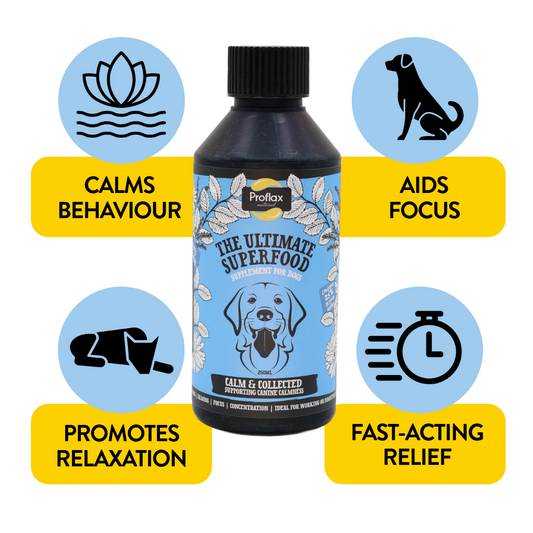 Calming Support for Mild Anxiety - Calm & Collected