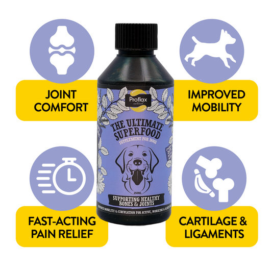 Bone, Joint & Mobility Support for Dogs