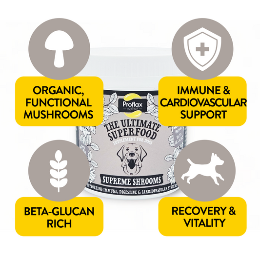 Immune Support for Dogs - Supreme Shrooms