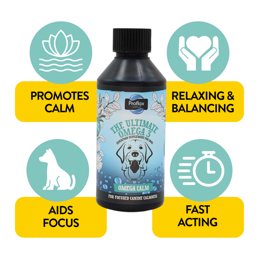 Calming Salmon Oil for Highly Anxious Dogs - Omega Calm