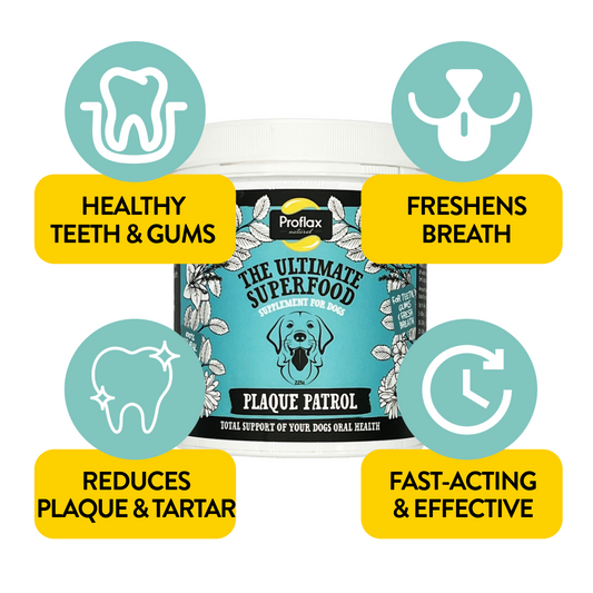 Healthy Teeth & Gums for Dogs - Plaque Patrol