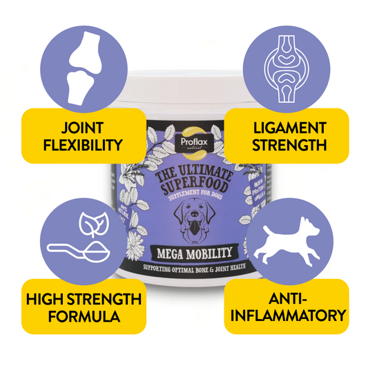 Joint & Mobility Blend for Dogs - Mega Mobility