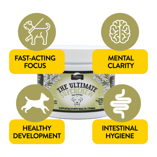 Soft Chews for Functional Support - Puppy