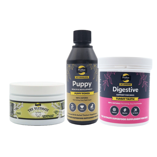 Targeted Wellness Bundle - Puppy (Premium)