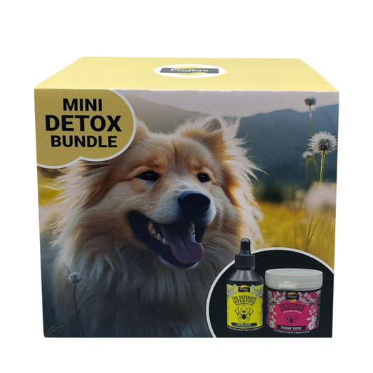 Proflax Mini Detox Bundle
