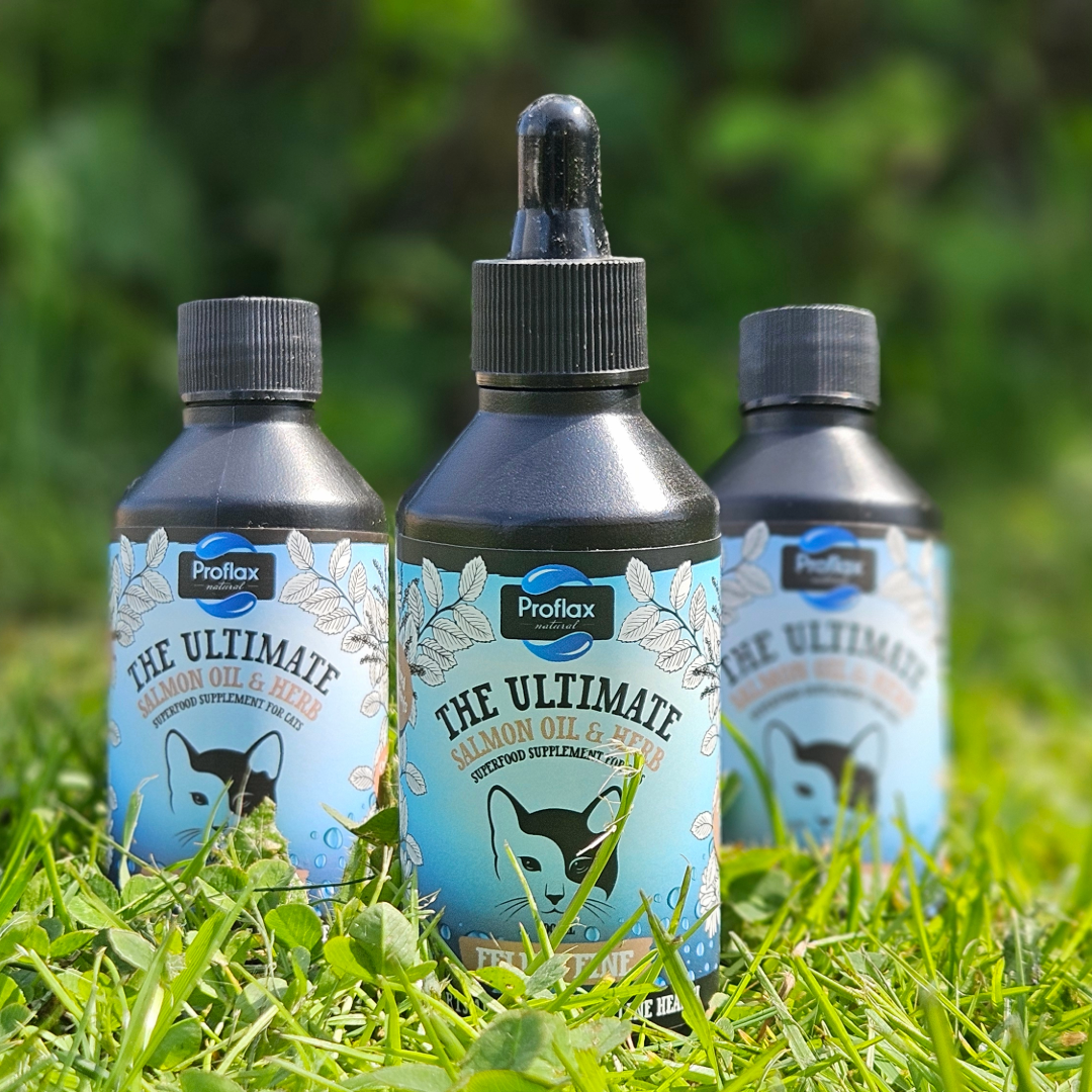 Salmon Oil Supplement for Cats - Feline Fine