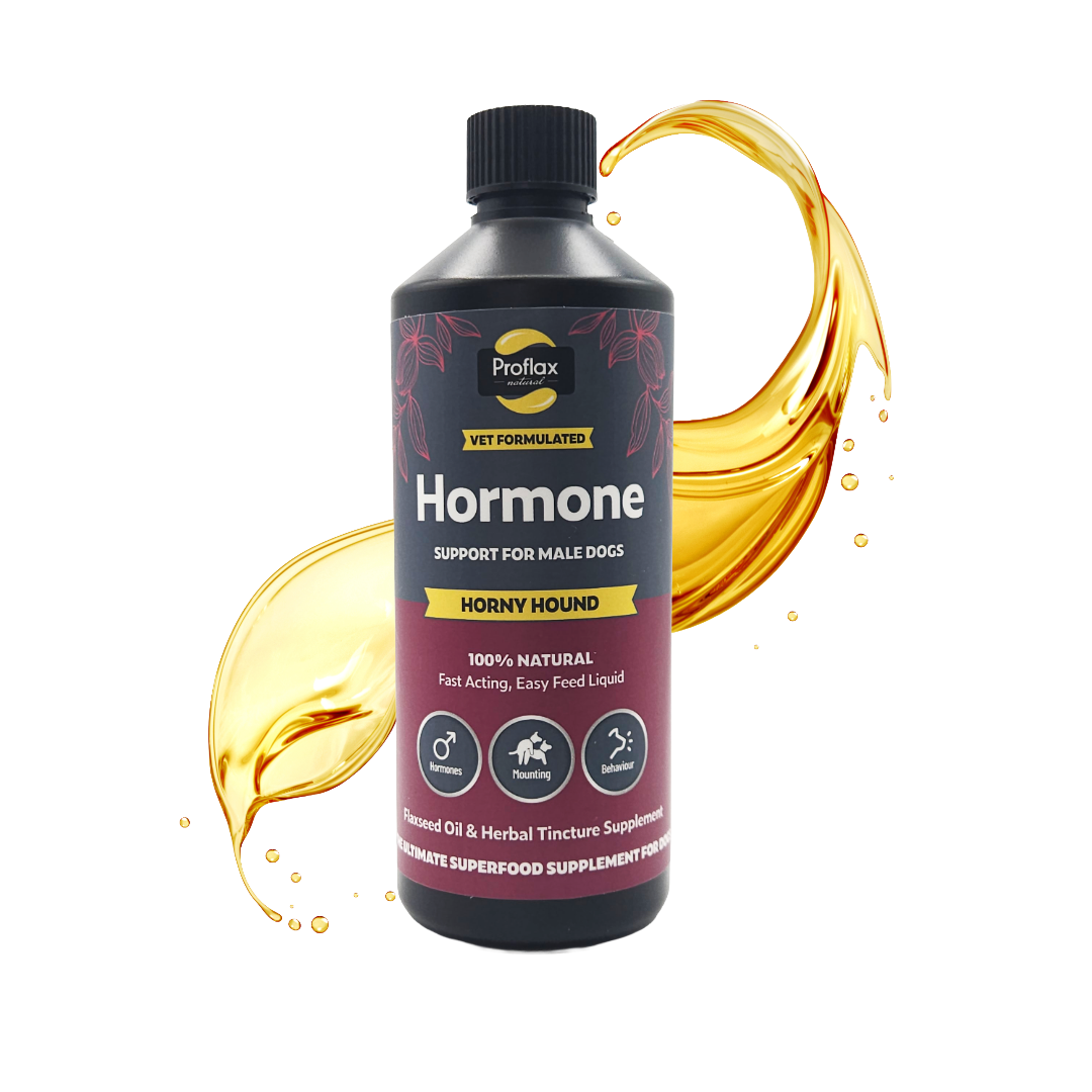 Hormone Balance for Male Dogs - Horny Hound