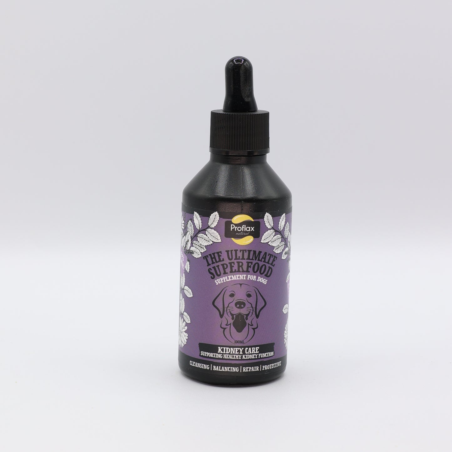 Kidney & Urinary Support for Dogs - Kidney Care