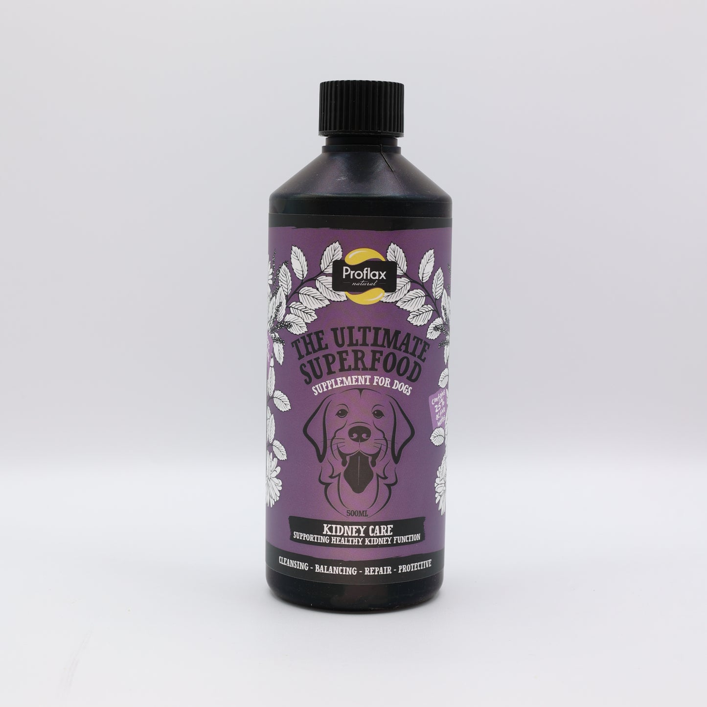 Kidney & Urinary Support for Dogs - Kidney Care