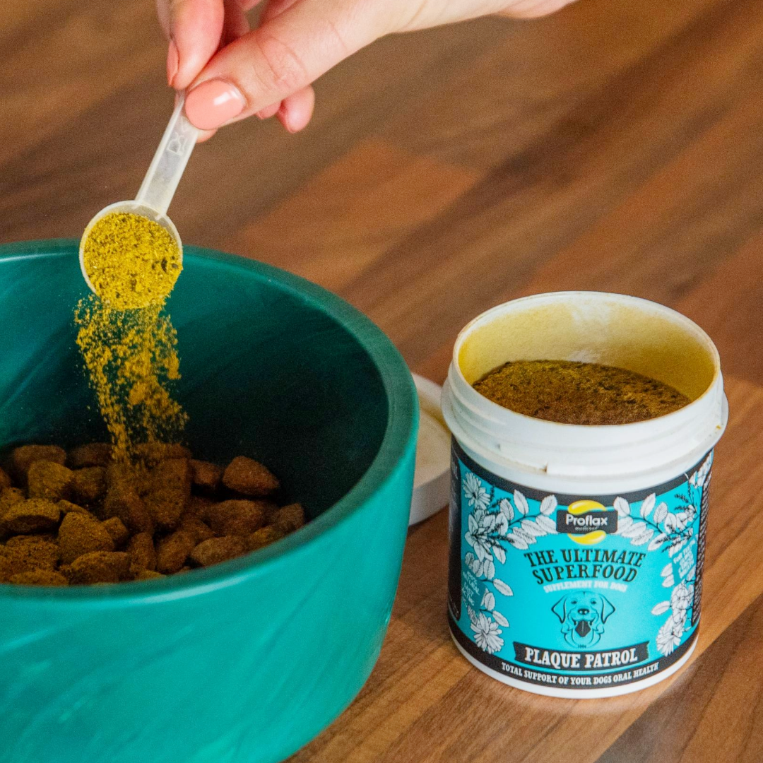 Healthy Teeth & Gums for Dogs - Plaque Patrol