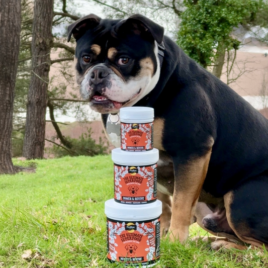 Muscle & Recovery Support for Dogs - Power & Revive