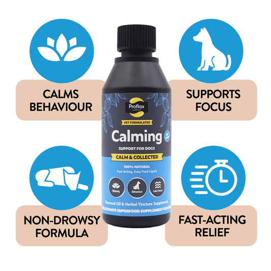 Calming Support for Mild Anxiety - Calm & Collected - Proflax