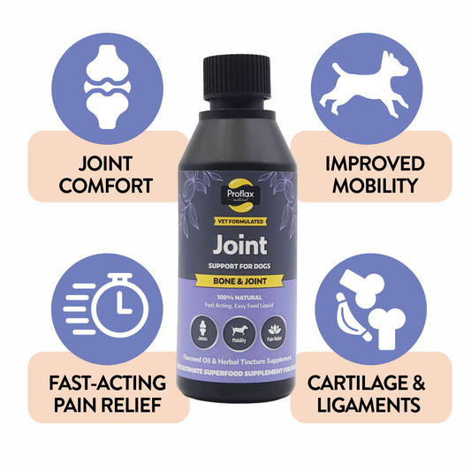 Bone, Joint & Mobility Support for Dogs