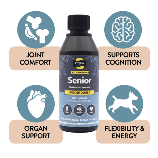 Senior Complete Blend for Dogs - Golden Oldies