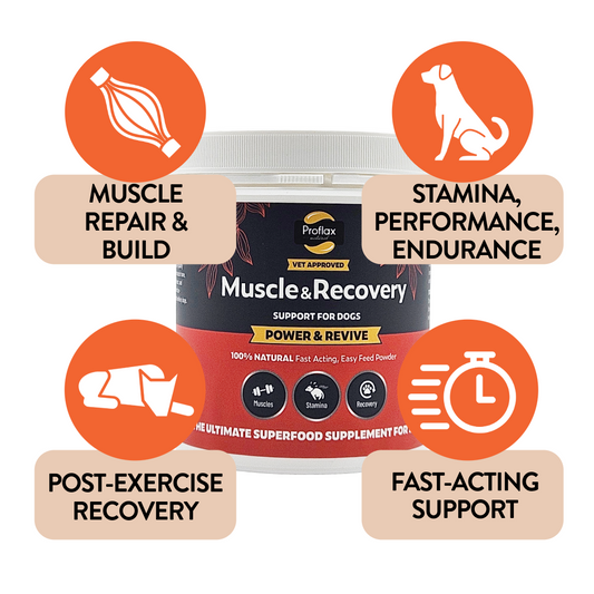 Muscle & Recovery Support for Dogs - Power & Revive