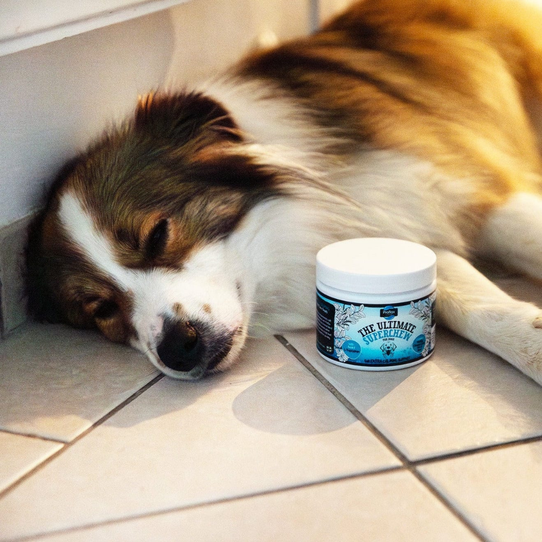 Proflax Christmas Calm Gift Box - Proflax