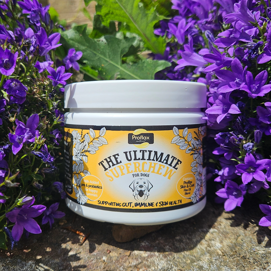 Soft Chews for Functional Support - Skin, Gut & Immune