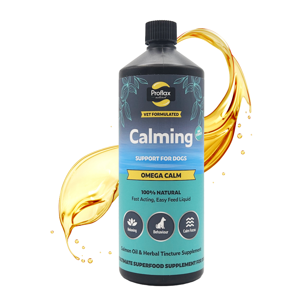 Calming Salmon Oil for Highly Anxious Dogs - Omega Calm