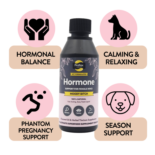 Hormonal Relief for Female Dogs - Moody Bitch