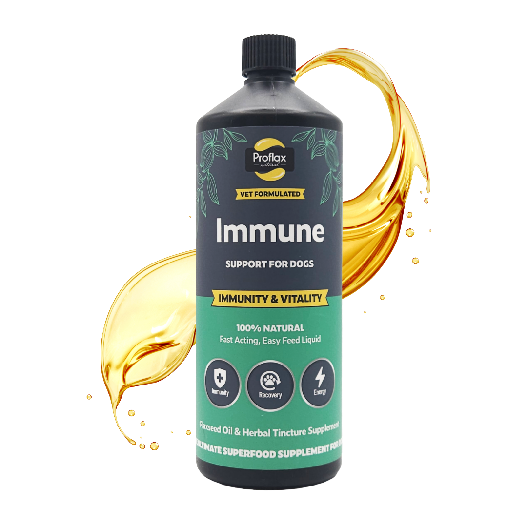 Immune & Energy Support for Dogs - Proflax