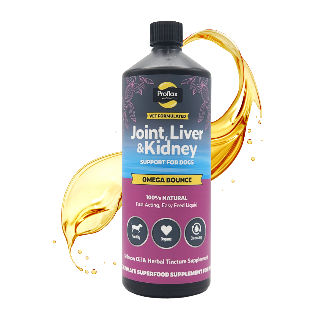 Salmon Oil for Joint & Mobility Support - Omega Bounce