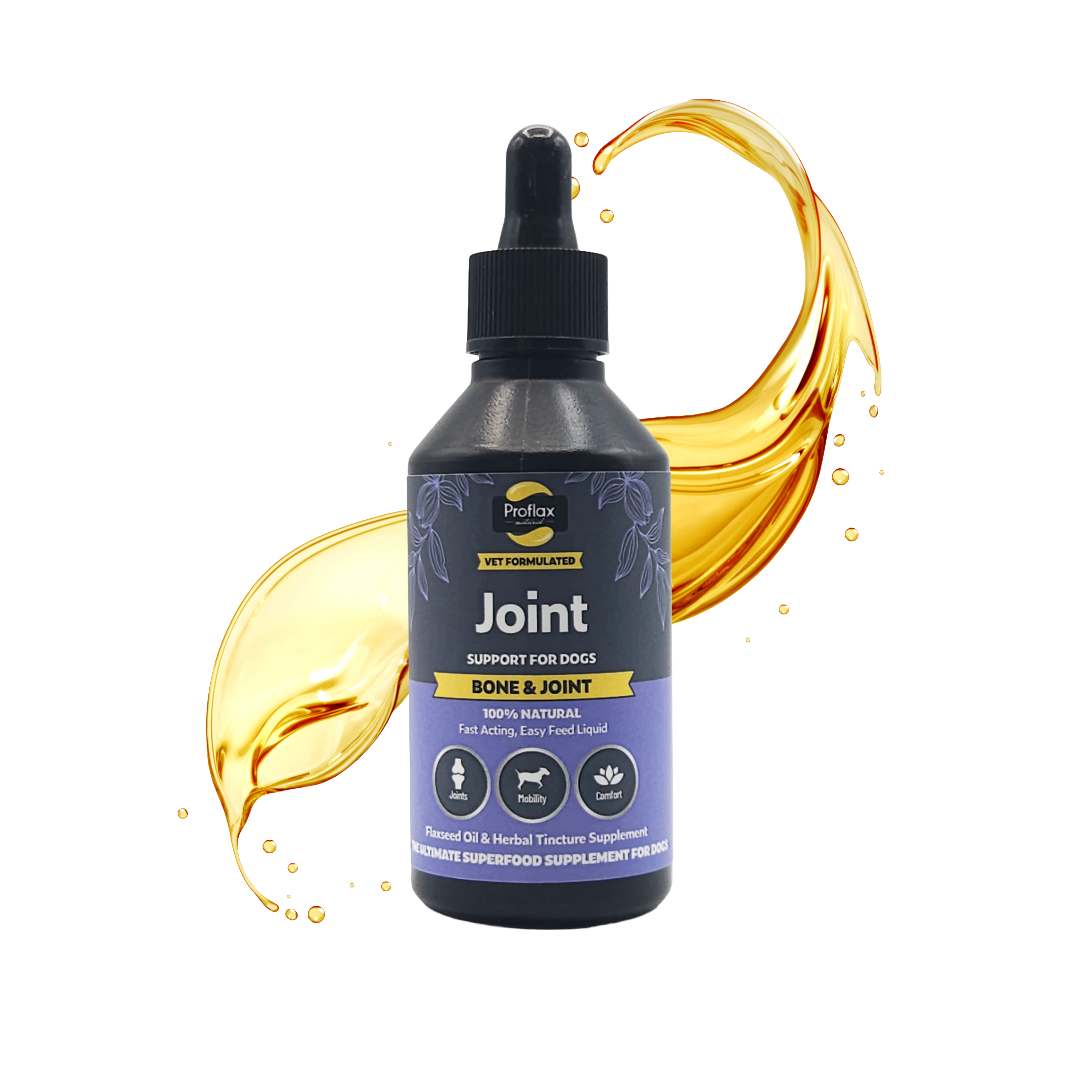 Bone, Joint & Mobility Support for Dogs - Proflax
