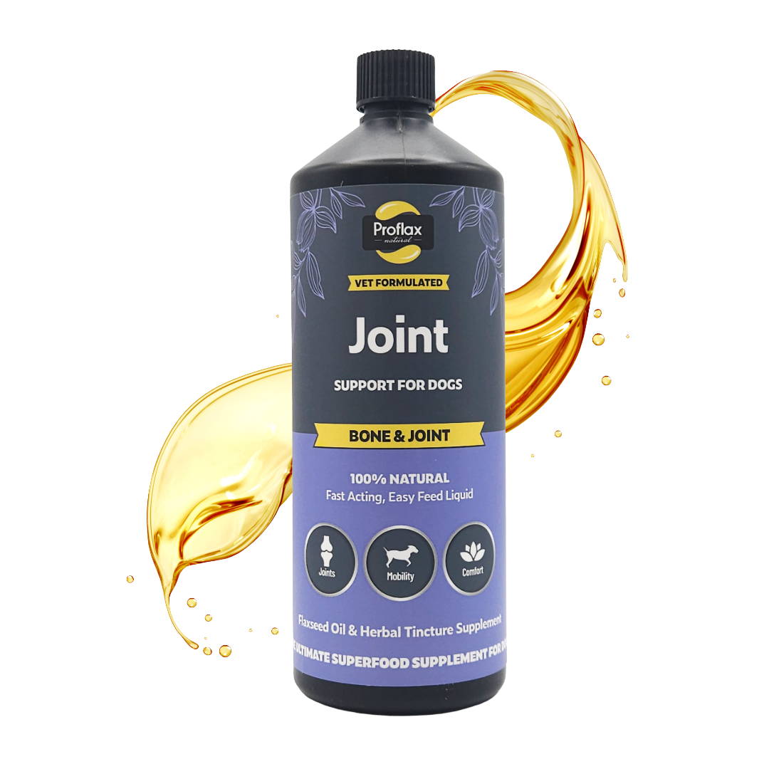 Bone, Joint & Mobility Support for Dogs - Proflax
