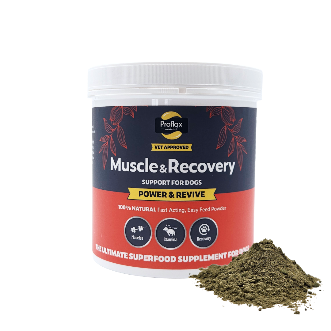 Muscle & Recovery Support for Dogs - Power & Revive - Proflax