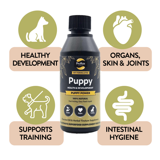 Puppy Digestion & Growth Support - Puppy Power