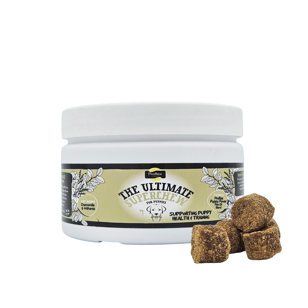 Soft Chews for Functional Support - Puppy - Proflax