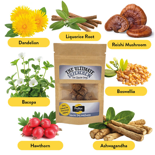 Soft Chews for Functional Support - Senior (Pocket Pack)