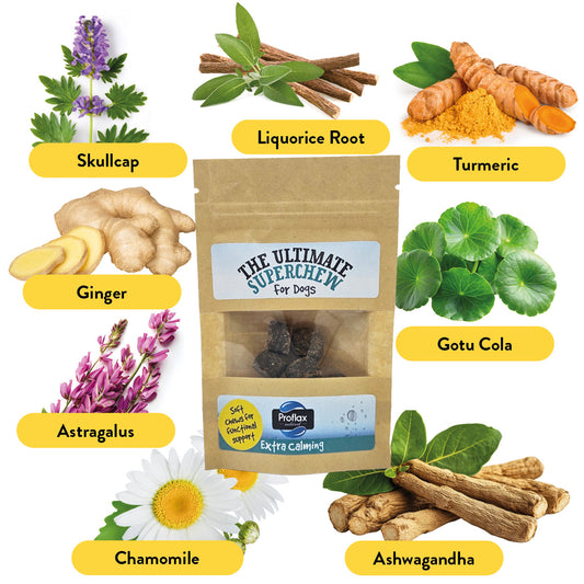 Soft Chews for Functional Support - Calming (Pocket Pack)